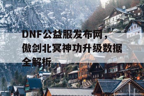 DNF公益服发布网，傲剑北冥神功升级数据全解析