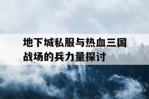 地下城私服与热血三国战场的兵力量探讨