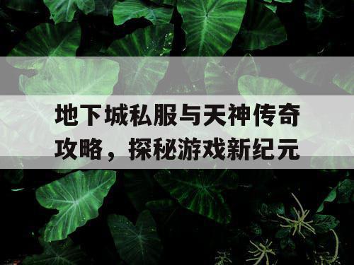 地下城私服与天神传奇攻略，探秘游戏新纪元