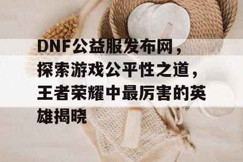 DNF公益服发布网，探索游戏公平性之道，王者荣耀中最厉害的英雄揭晓